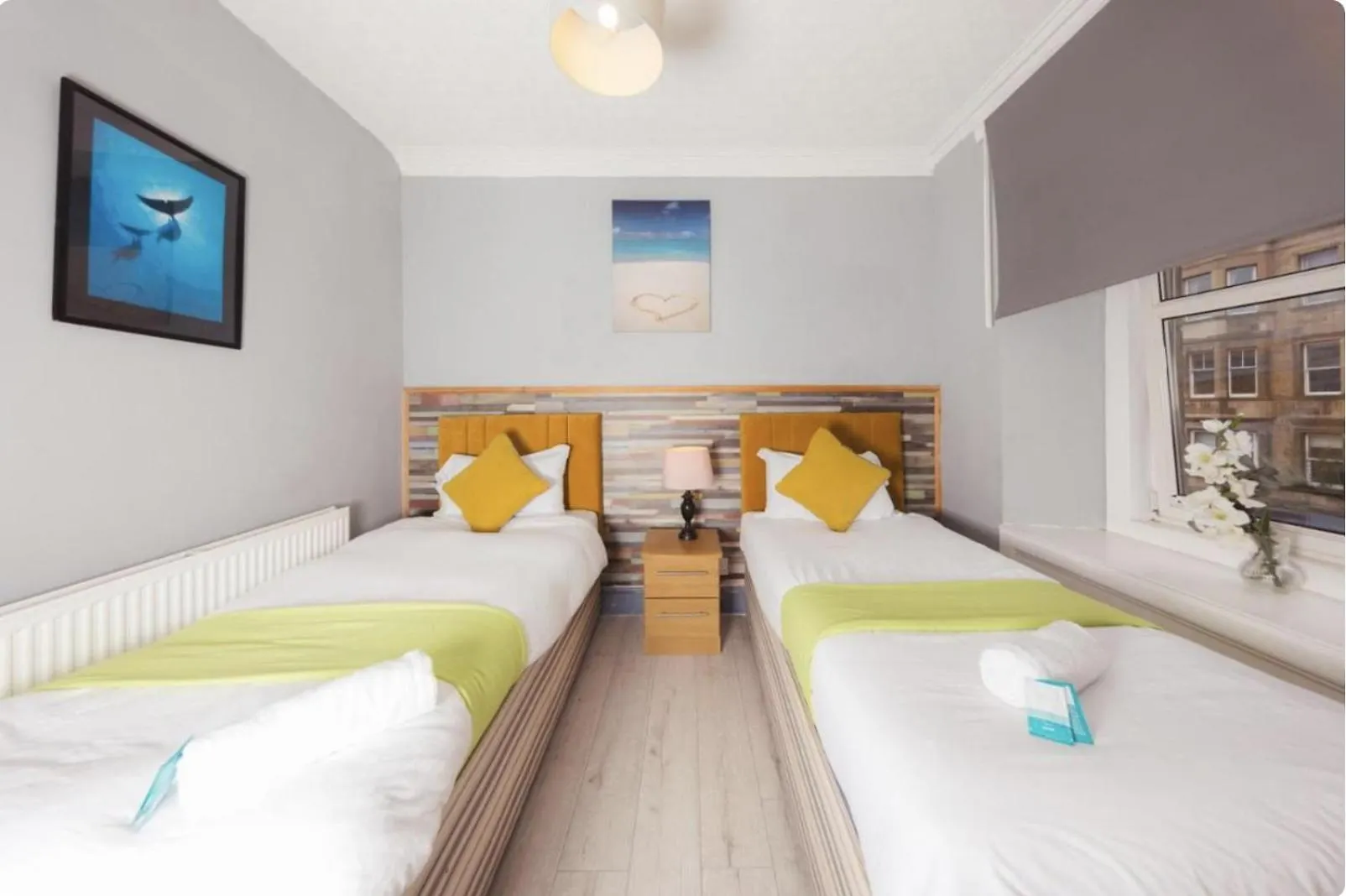 Cozy City Center Apt - Meadows 5! Apartment Edinburgh